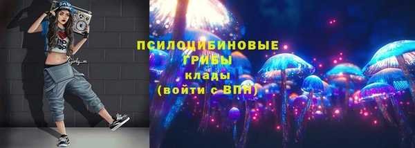 герыч Сатка