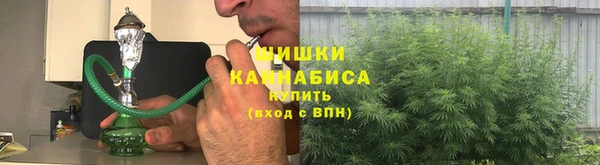 ПСИЛОЦИБИНОВЫЕ ГРИБЫ Рославль
