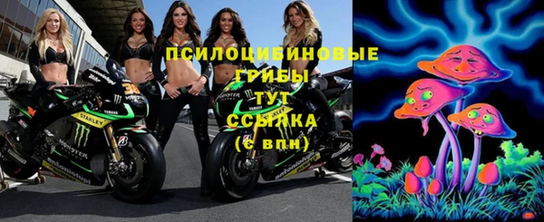 гашик Алзамай