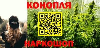 прущие грибы Кинель