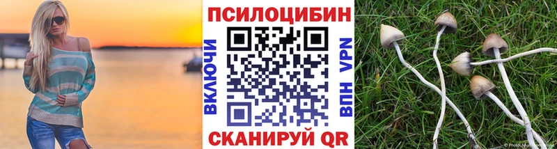 Галлюциногенные грибы Psilocybe  Канаш 