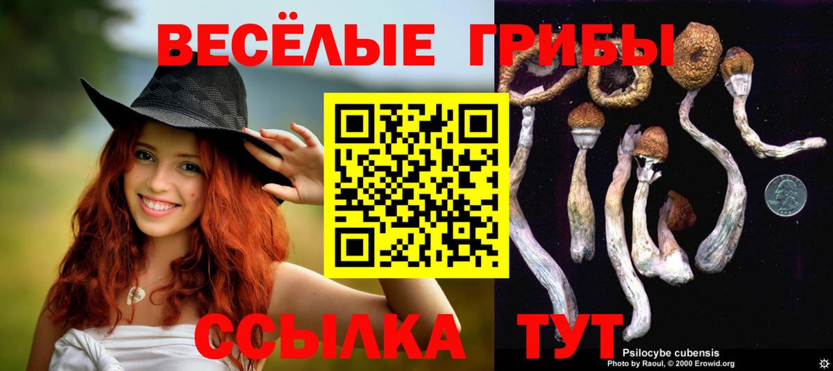 Псилоцибиновые грибы мицелий Канаш
