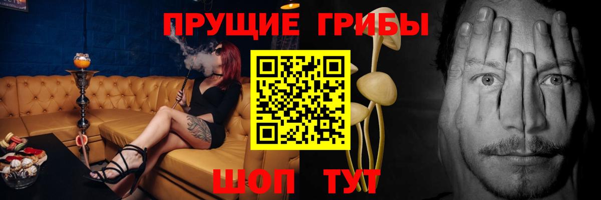 Галлюциногенные грибы ЛСД  Вход с VPN  Галлюциногенные грибы Cubensis  где продают   Канаш 
